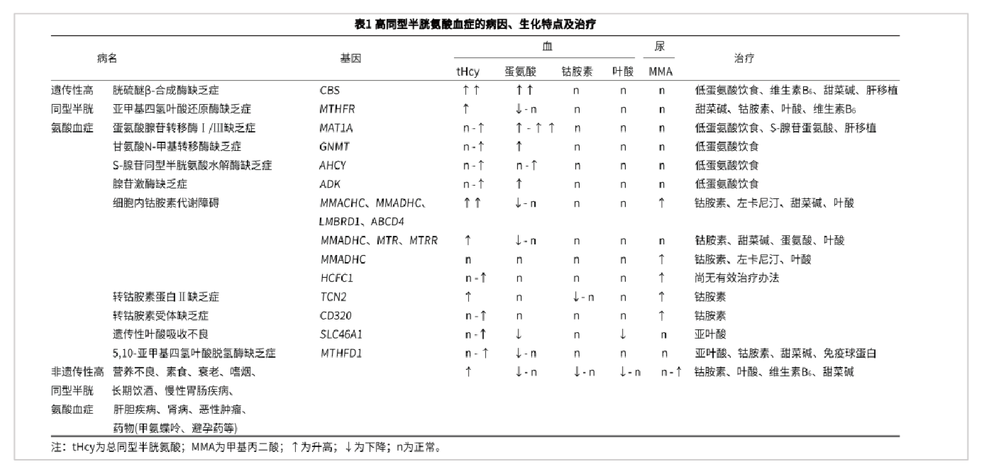 MTHFR -体检2_画板 1_edit.png